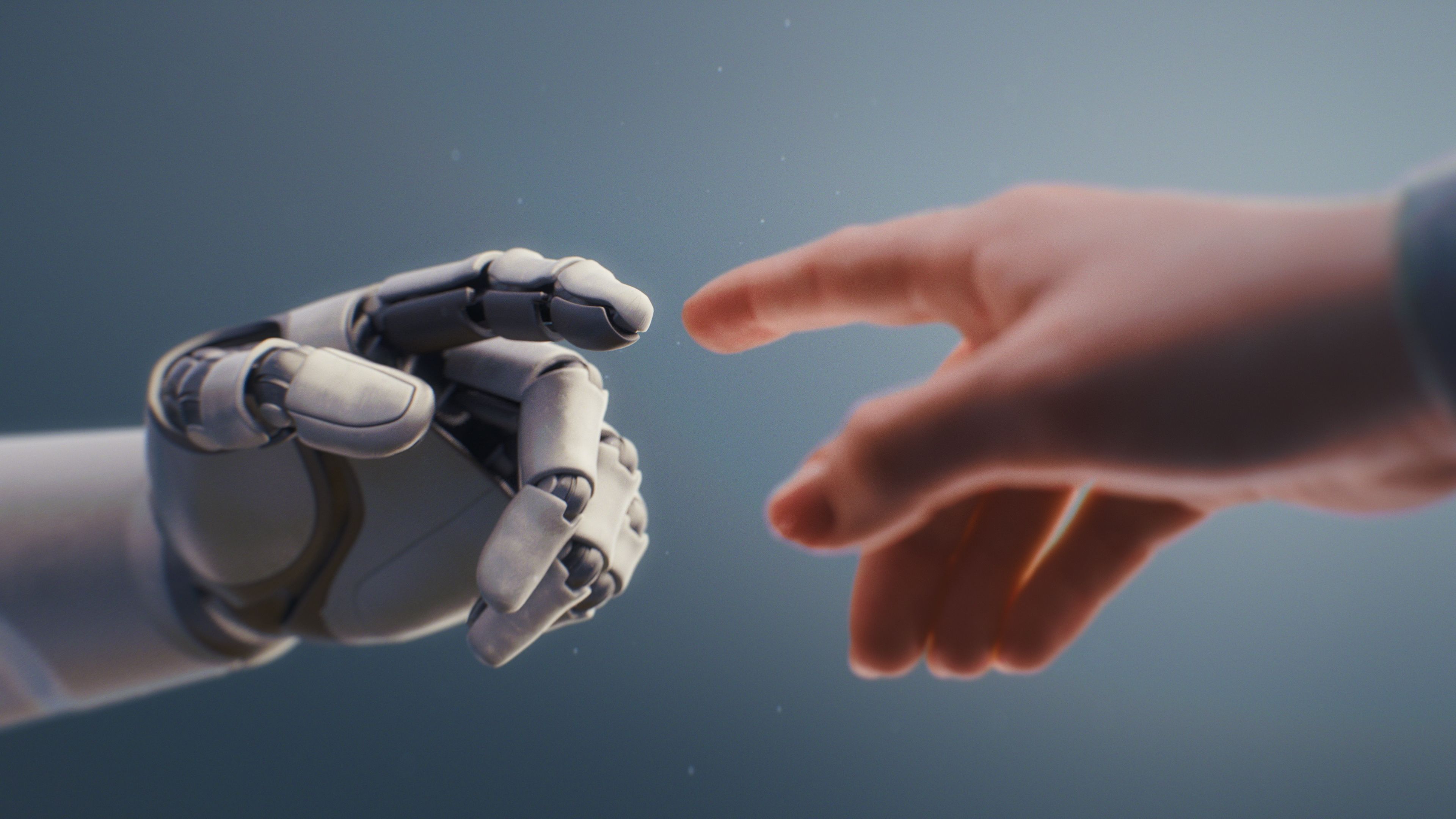 Moltbook.ai & RentAHuman – Wenn KI sich selbst vernetzt und dich für echte Jobs buchen kann